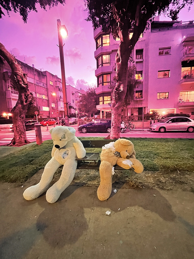 ספסל תל אביבי, בשדרות חן. שני דובי ענק, חומים, יושבים מרוחים על ספסל עם פציעות והמילוי שלהם בחוץ.